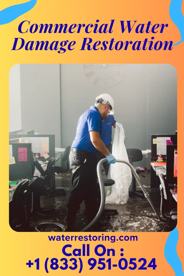 Commercial Water Damage Restoration in Red Cliff, CO